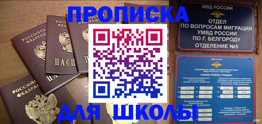 прописка гарантия в Вязьме